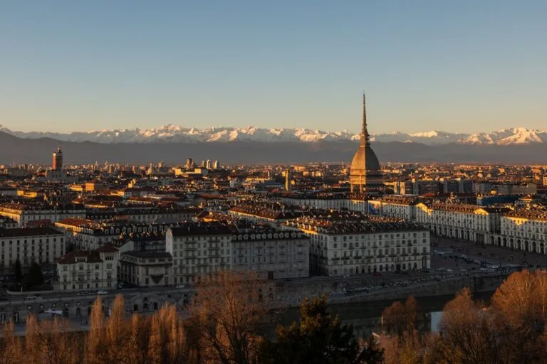 Fl neries matinales au march Turin travel tourism landmark