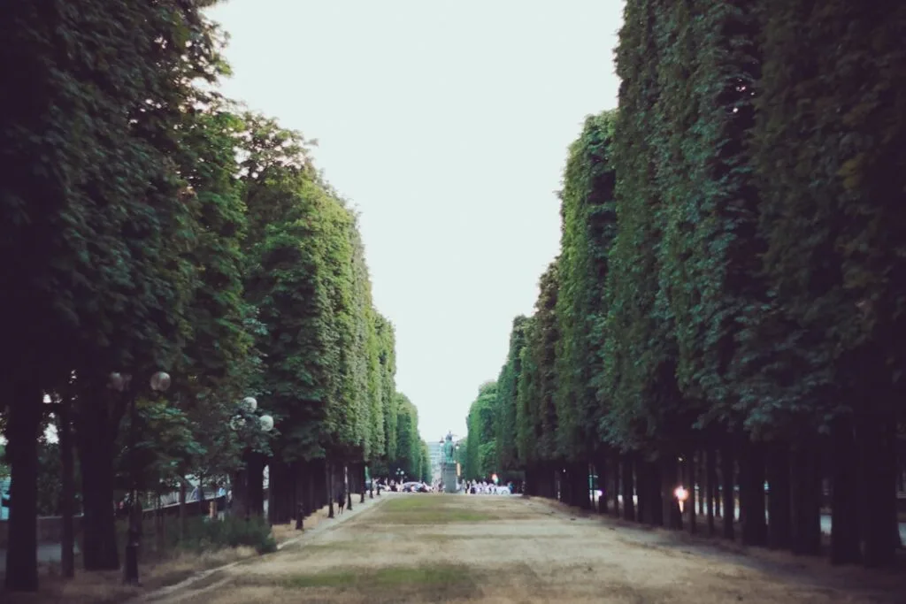 Allée bordée de platanes du Parco del Valentino à Turin
