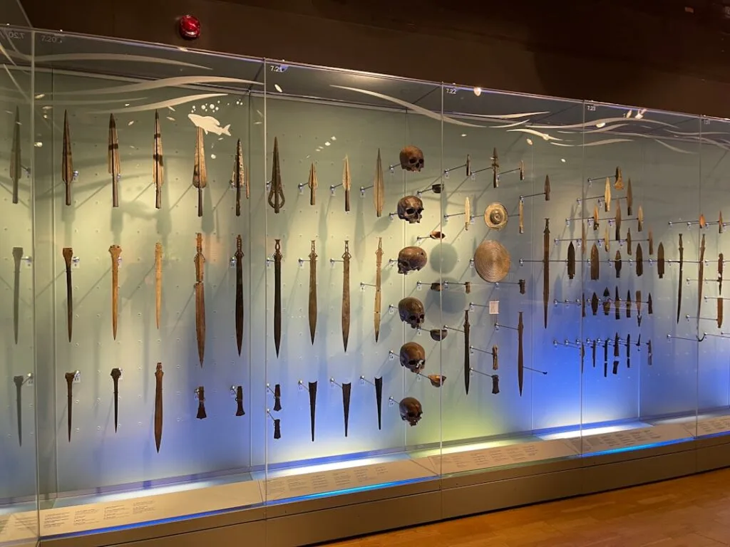 Vitrine d'armes anciennes et crânes exposés dans un musée de Turin